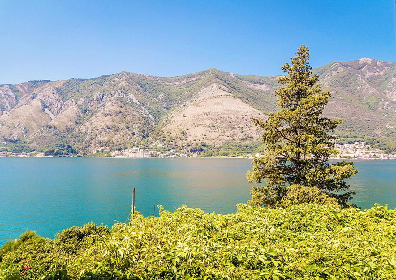 Villa Donkovic Kotor Luaran gambar